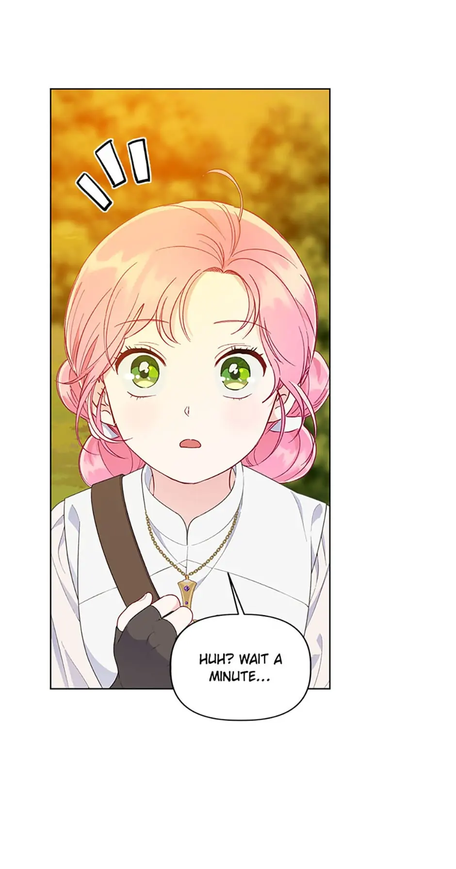 Read A Transmigrator's Privilege En Manga Online
