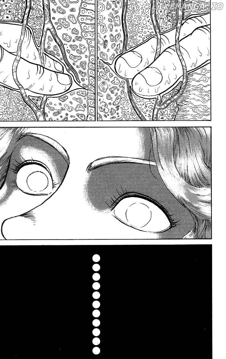 Read Baki the Grappler En Manga Online