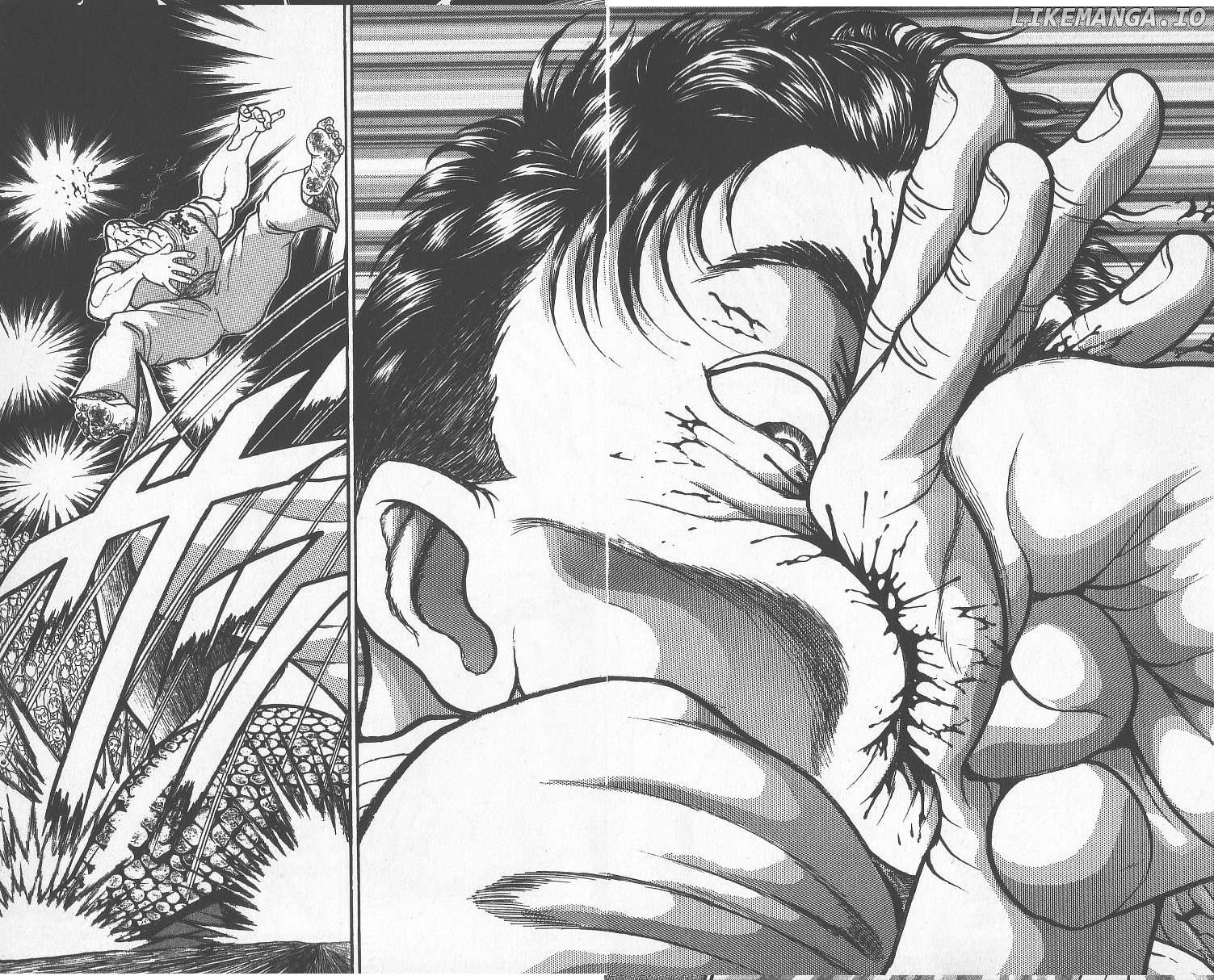 Read Baki the Grappler En Manga Online