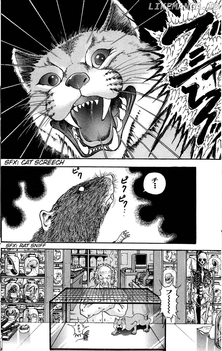 Read Baki the Grappler En Manga Online