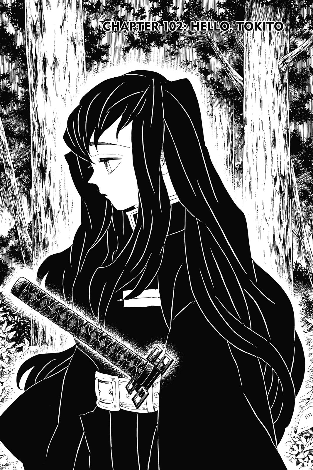 Read Demon Slayer En Manga Online