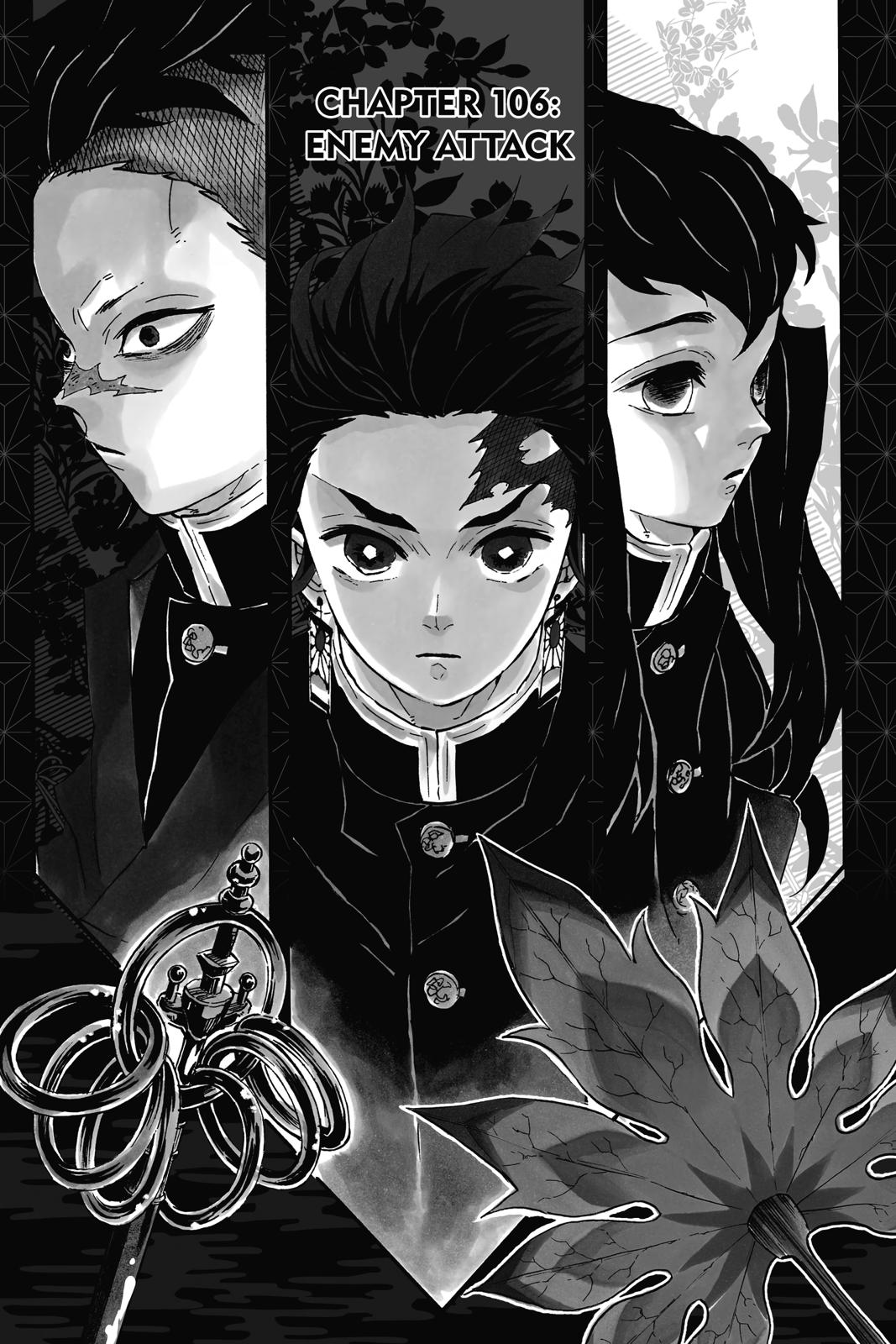 Read Demon Slayer En Manga Online
