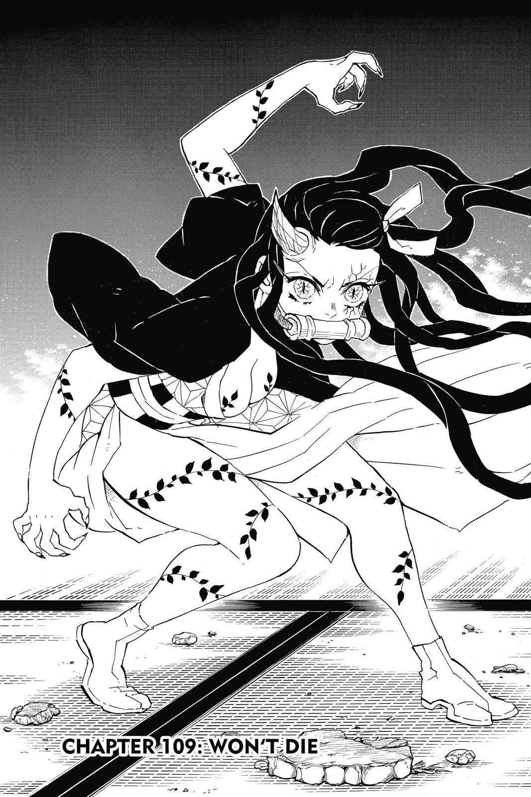Read Demon Slayer En Manga Online