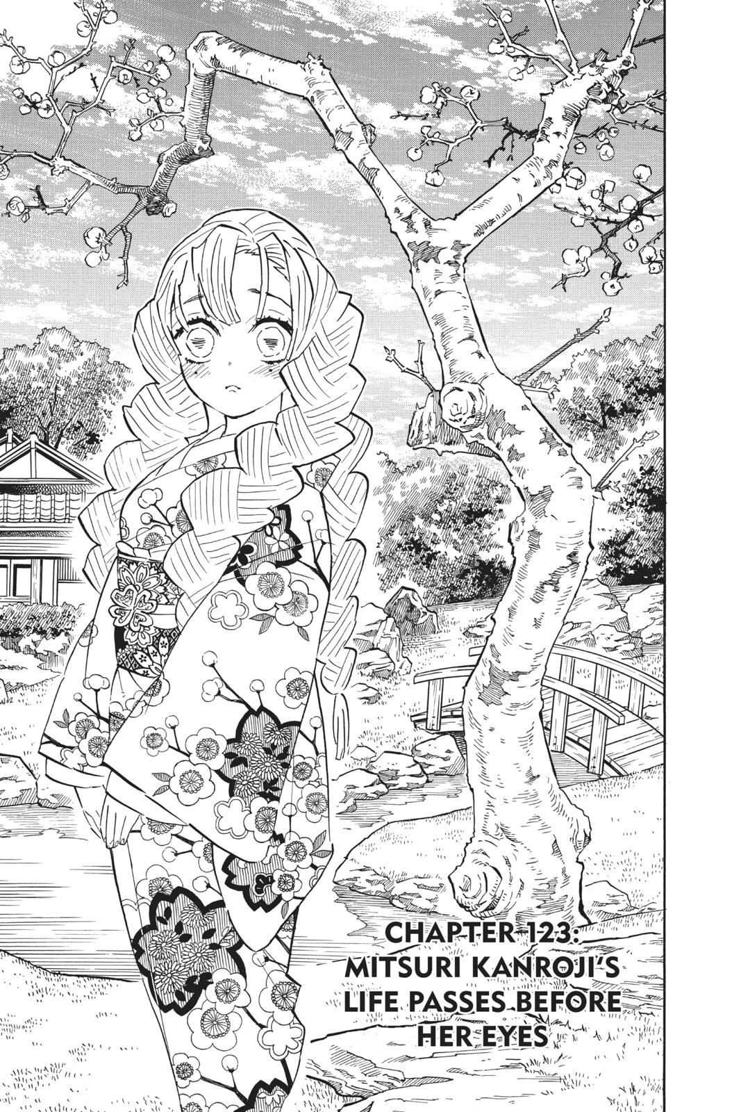 Read Demon Slayer En Manga Online