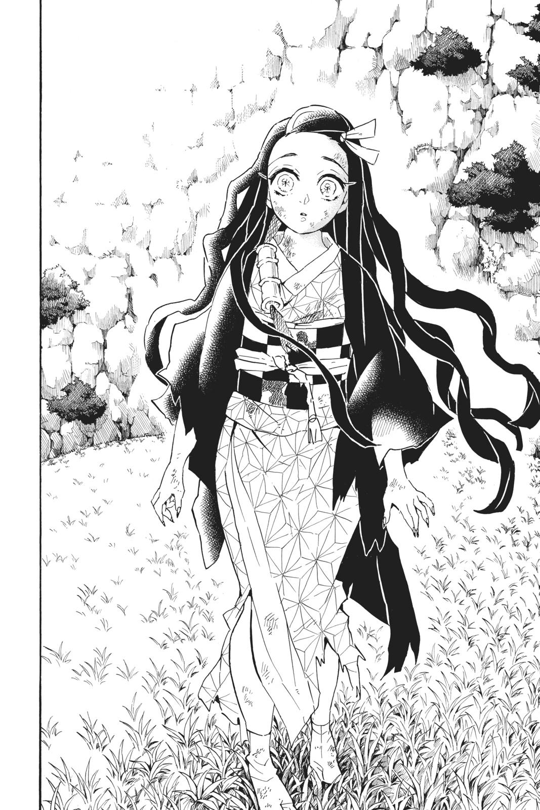 Read Demon Slayer En Manga Online