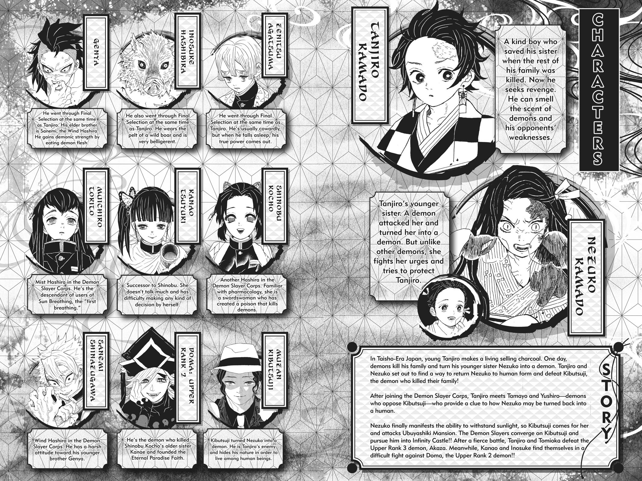 Read Demon Slayer En Manga Online
