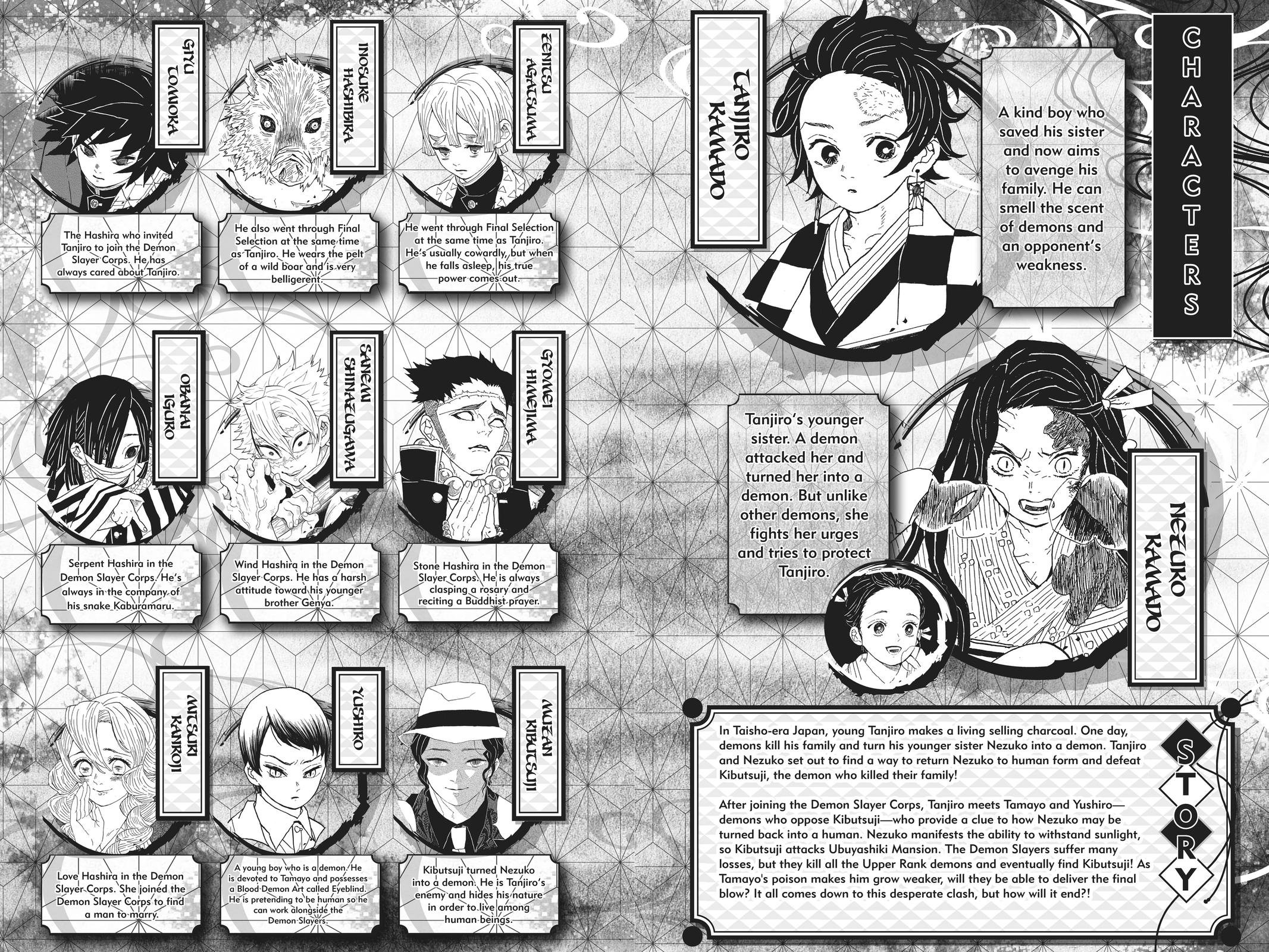 Read Demon Slayer En Manga Online