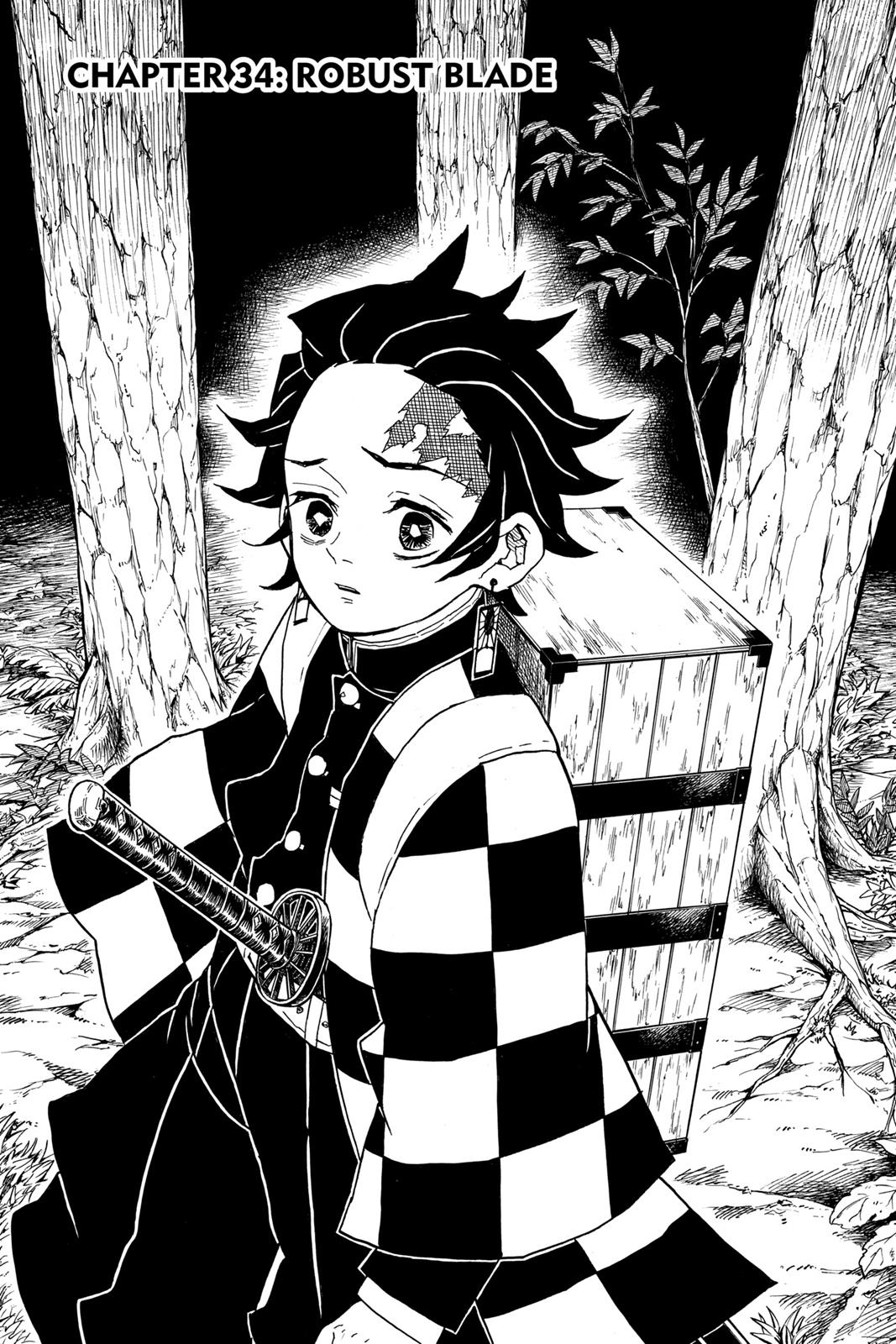 Read Demon Slayer En Manga Online