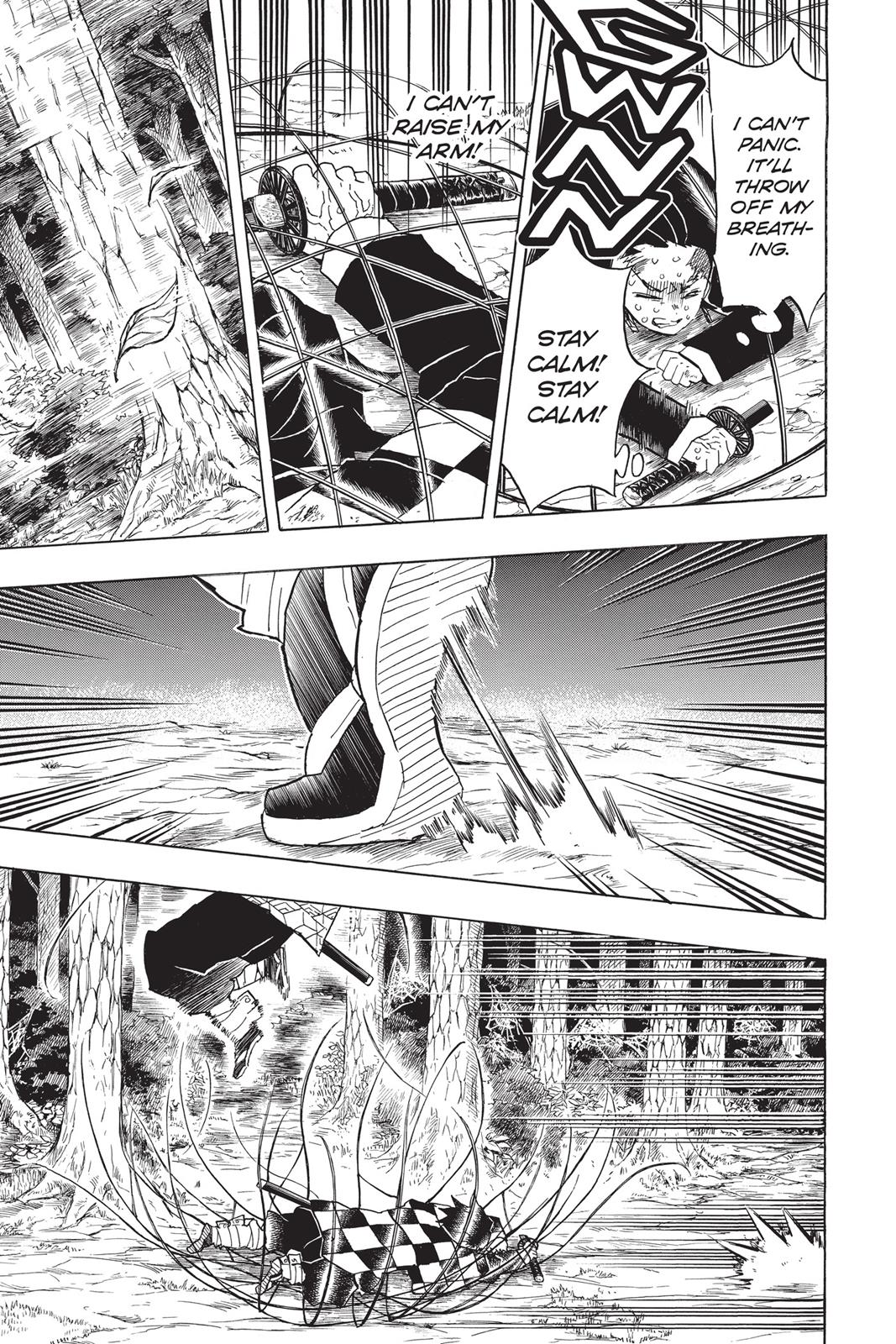 Read Demon Slayer En Manga Online
