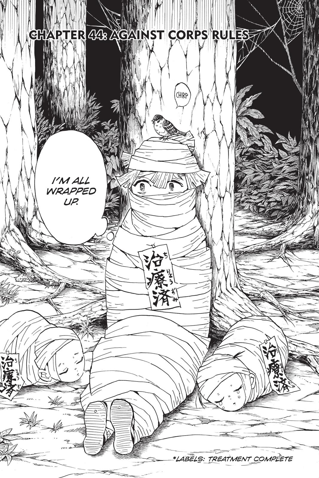 Read Demon Slayer En Manga Online