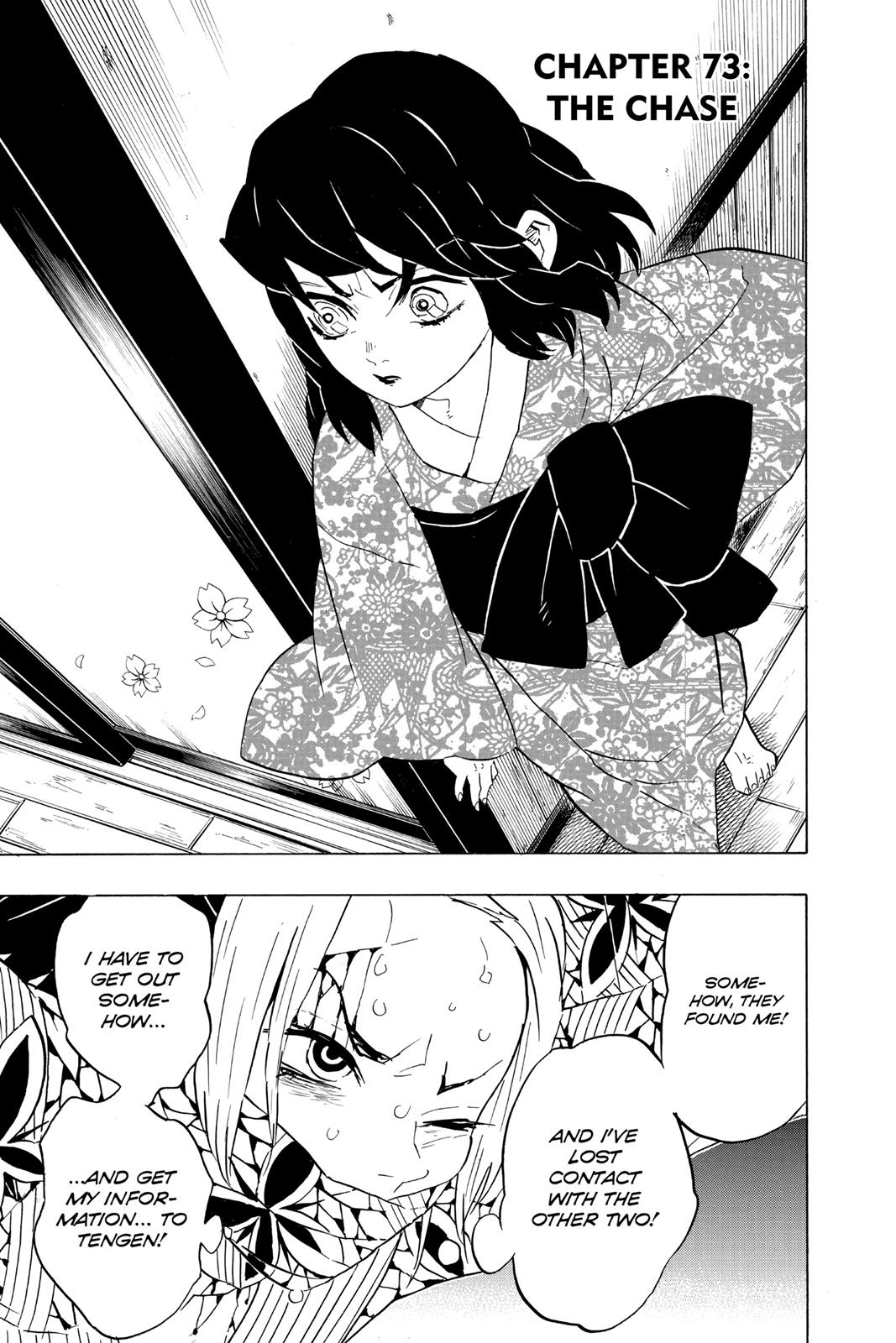 Read Demon Slayer En Manga Online