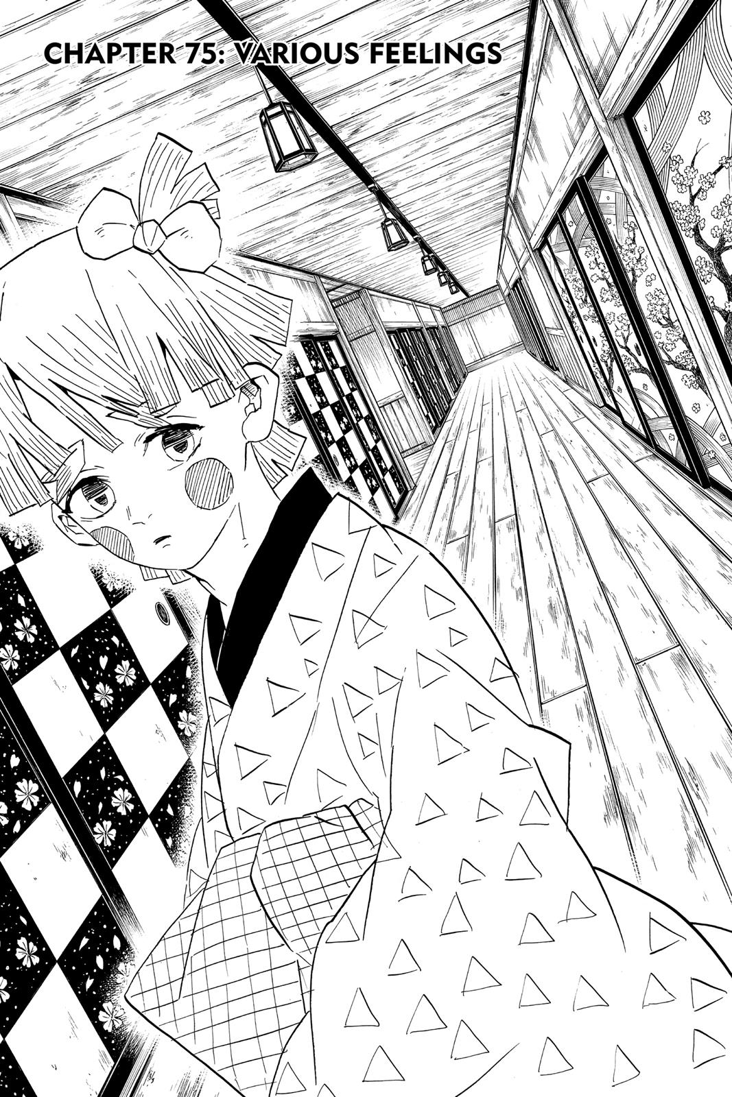 Read Demon Slayer En Manga Online