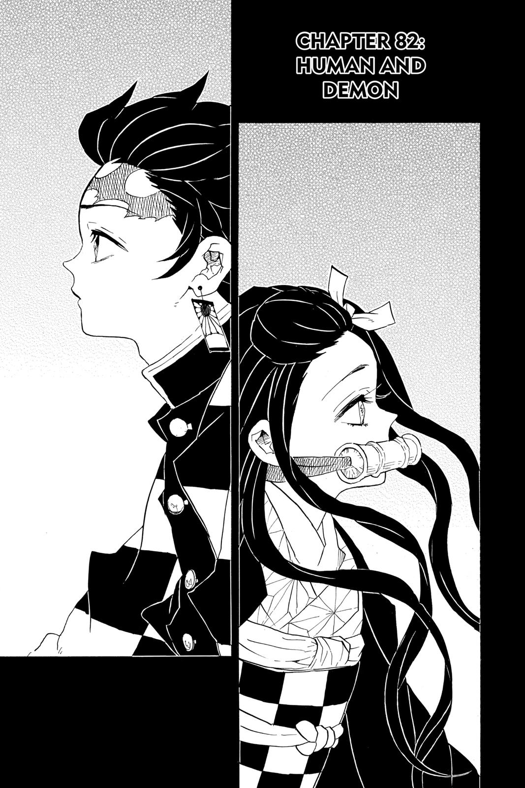 Read Demon Slayer En Manga Online
