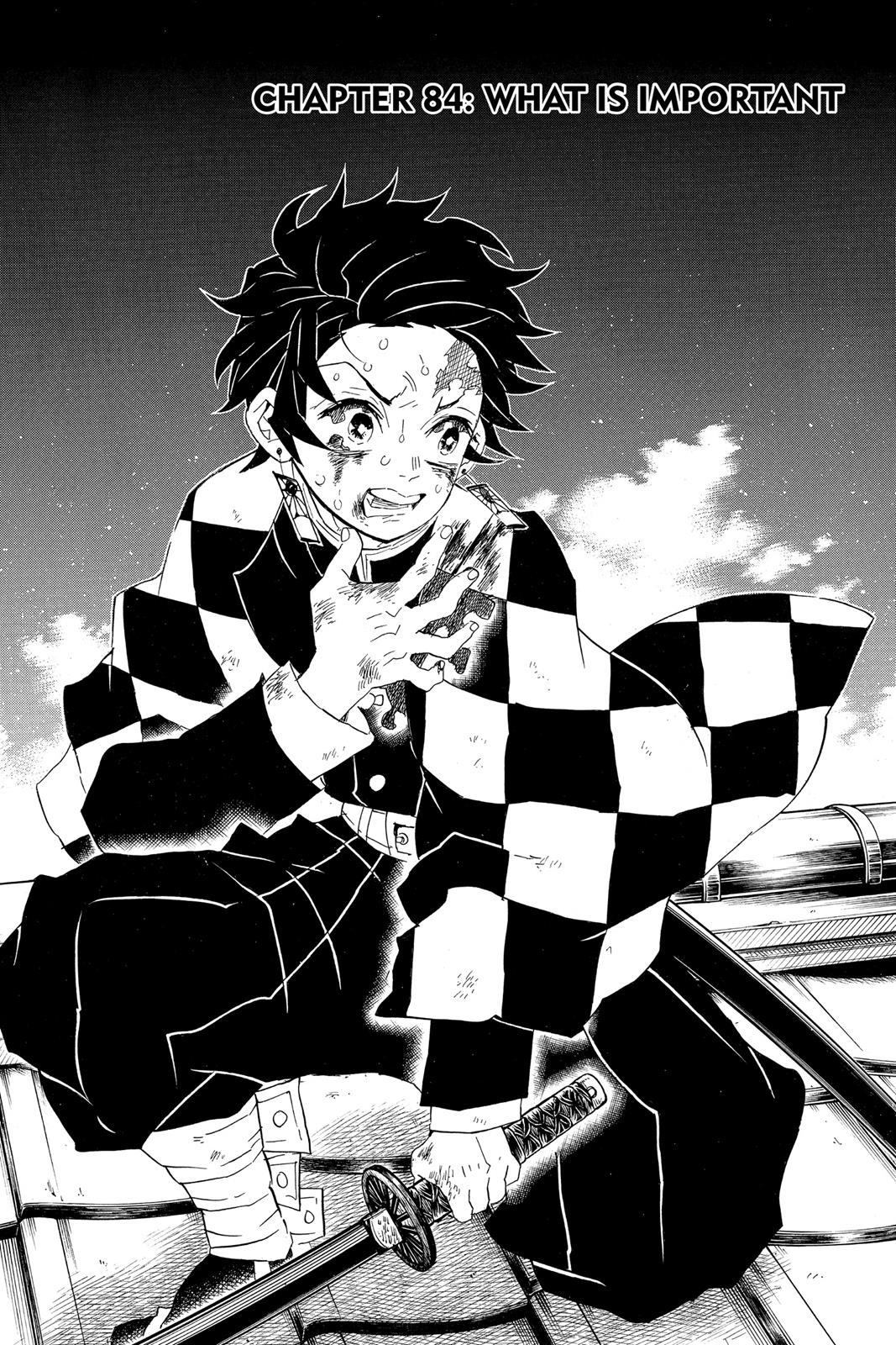Read Demon Slayer En Manga Online