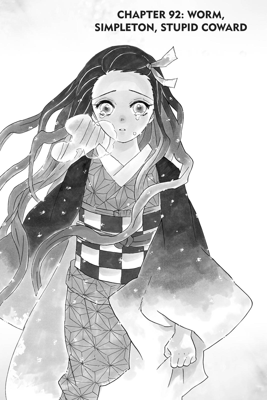 Read Demon Slayer En Manga Online