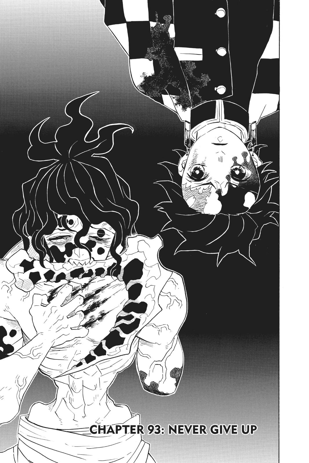 Read Demon Slayer En Manga Online
