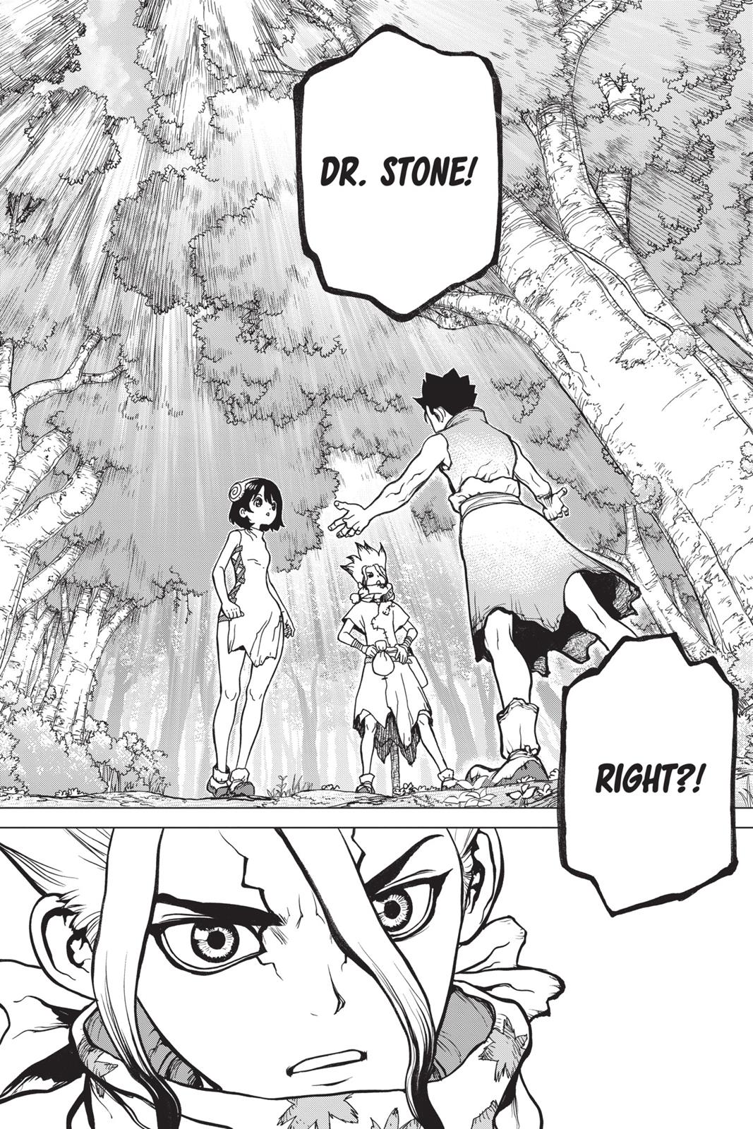 Read Dr Stone En Manga Online