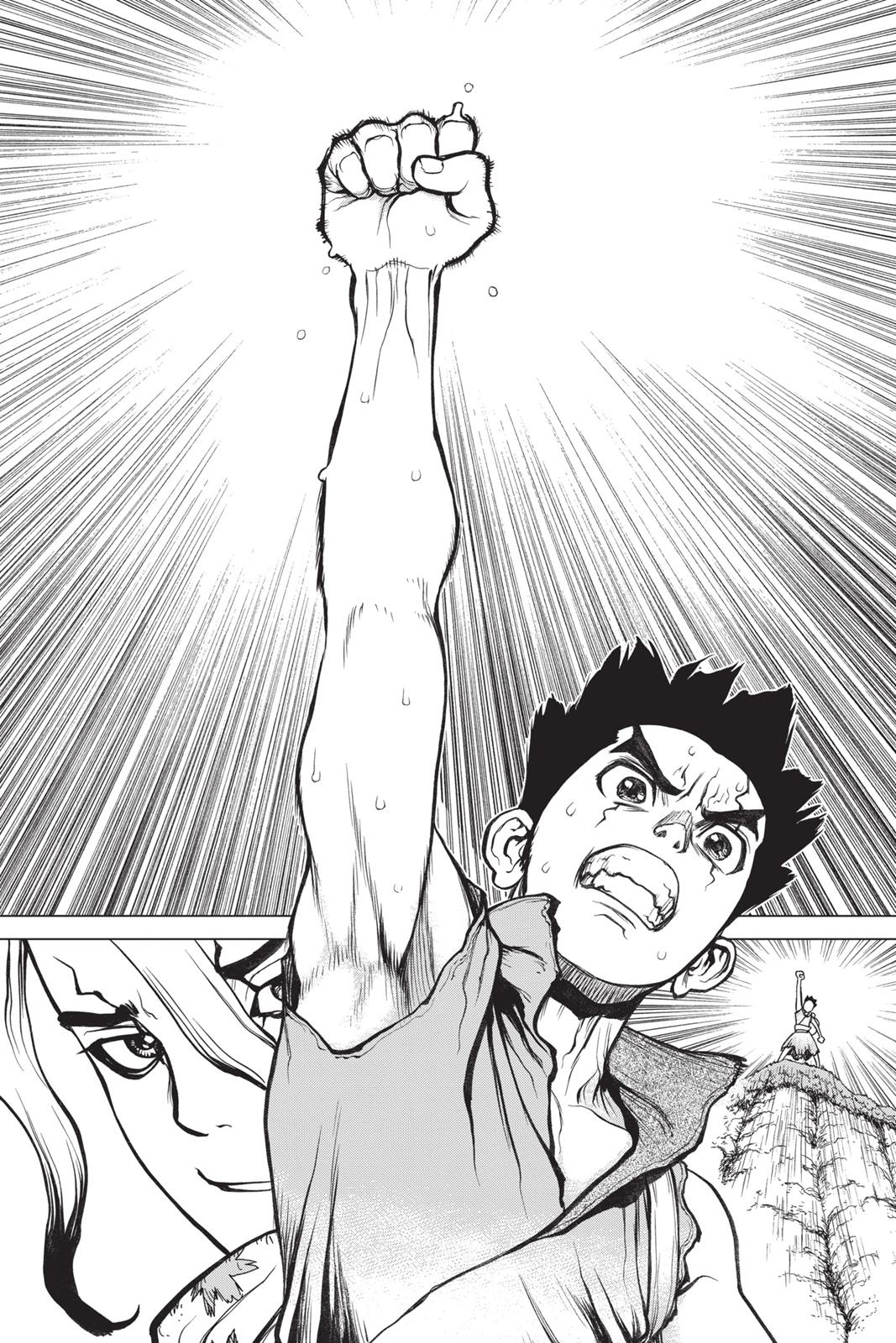 Read Dr Stone En Manga Online