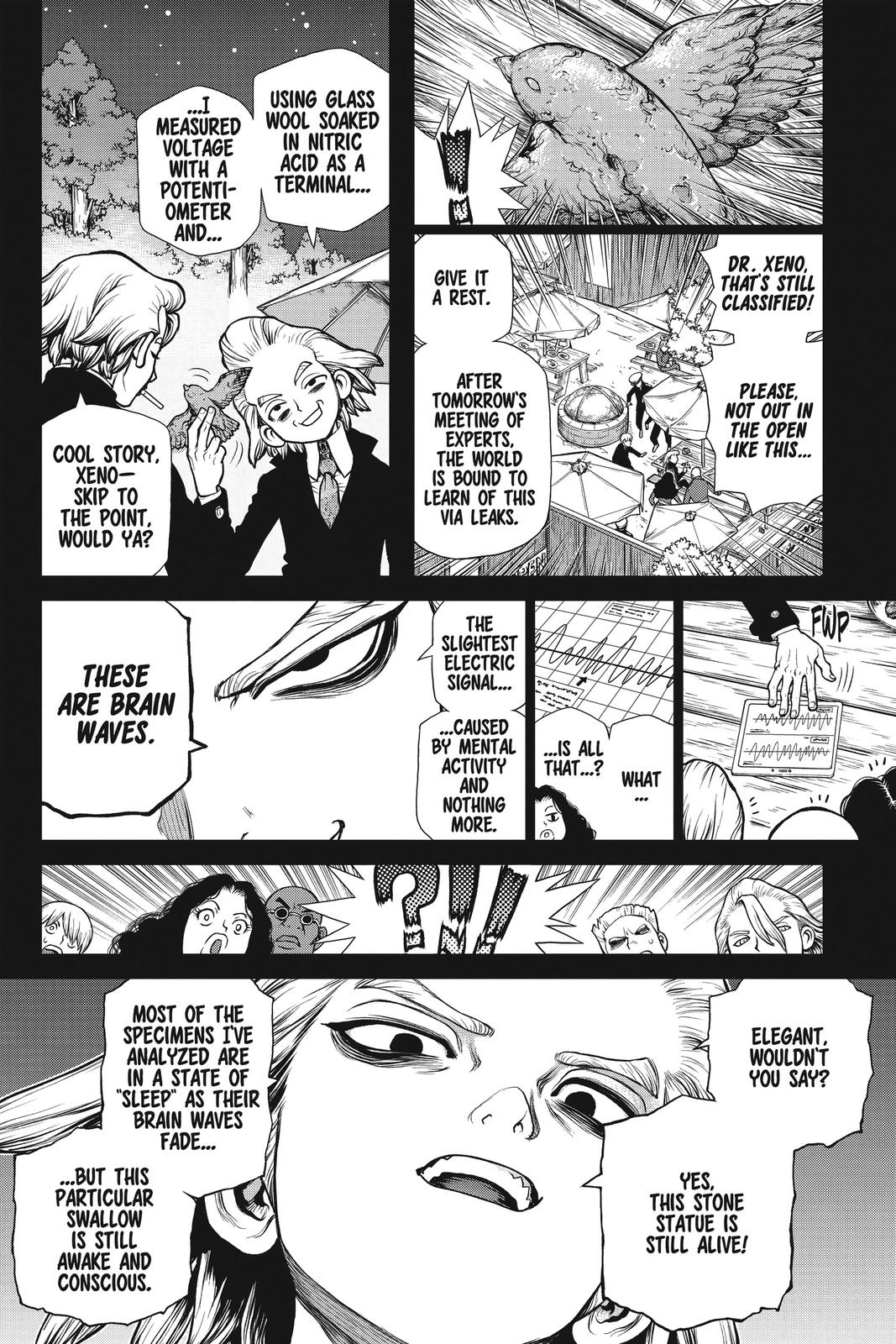 Read Dr Stone En Manga Online