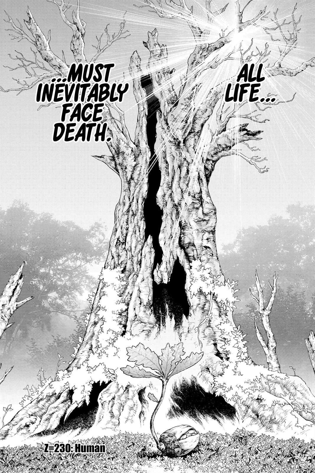 Read Dr Stone En Manga Online