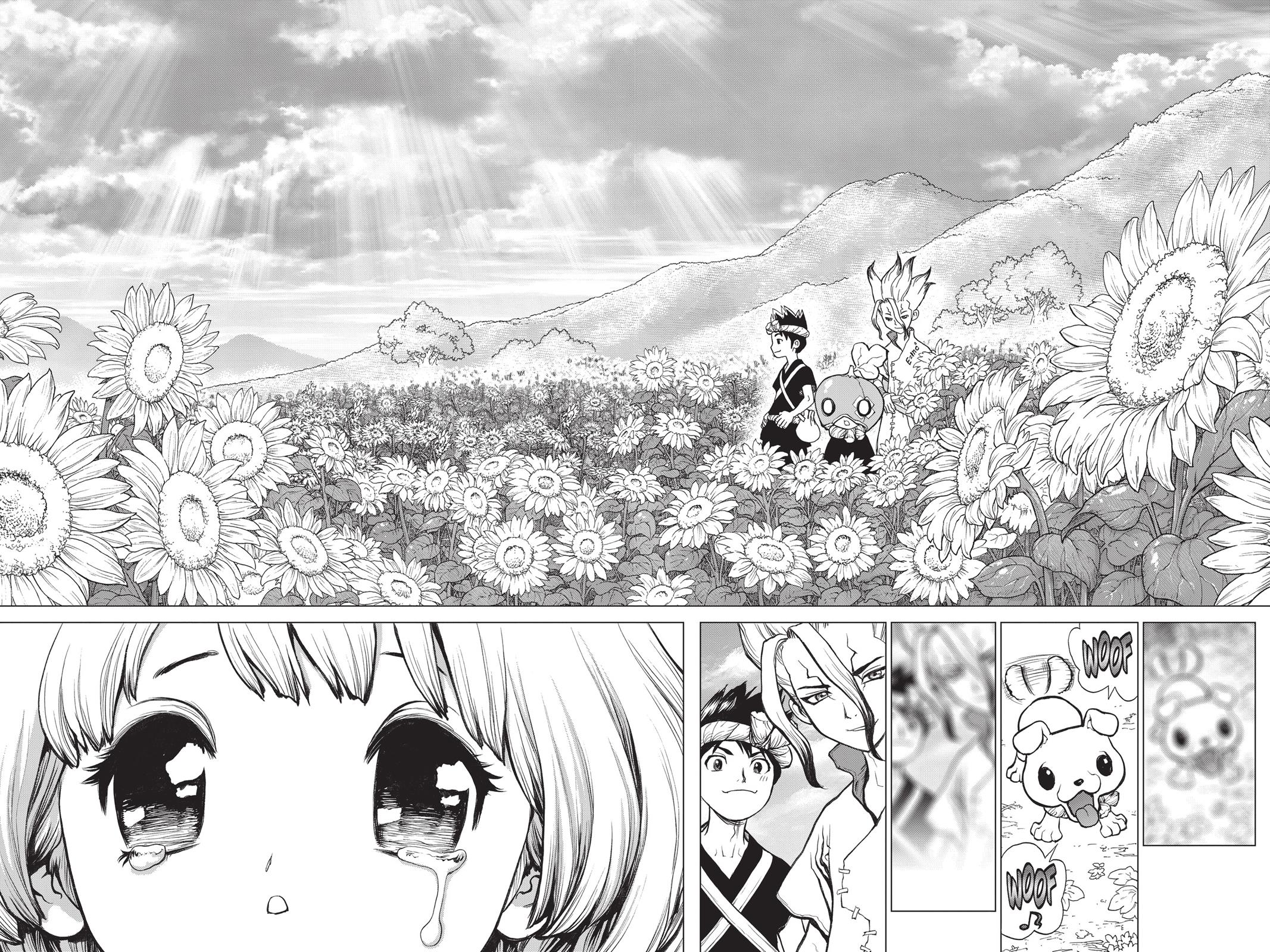 Read Dr Stone En Manga Online