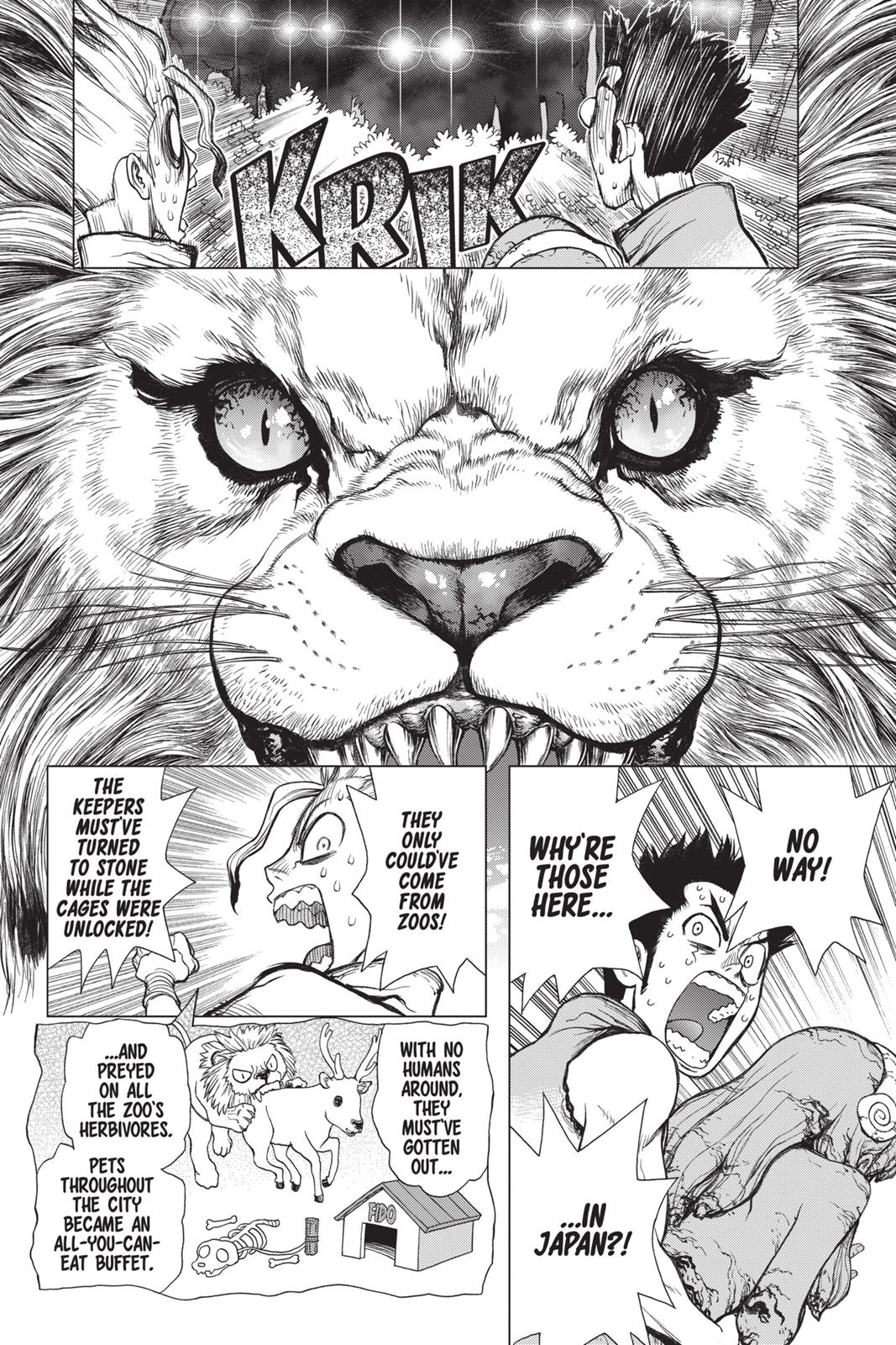 Read Dr Stone En Manga Online