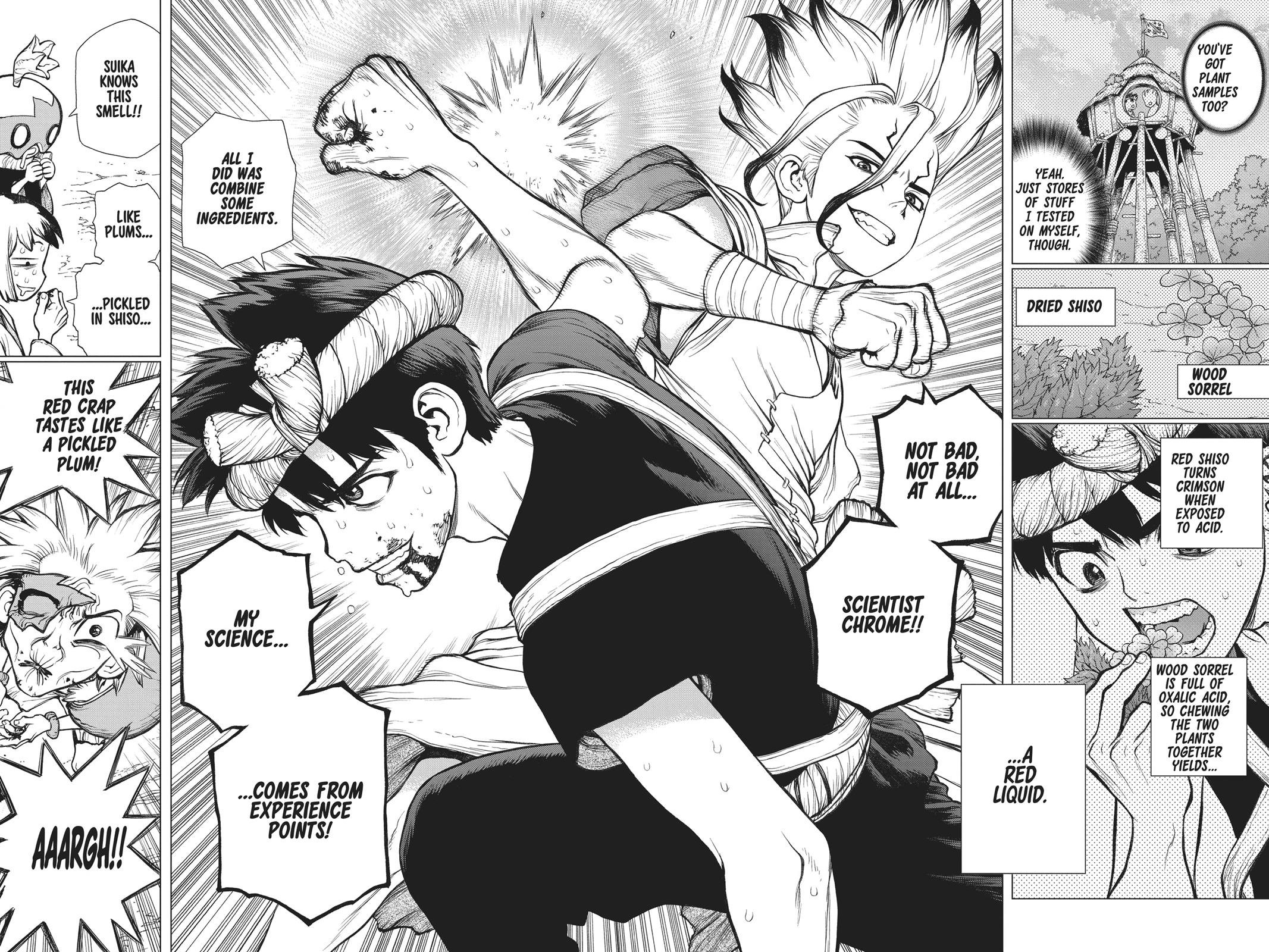 Read Dr Stone En Manga Online