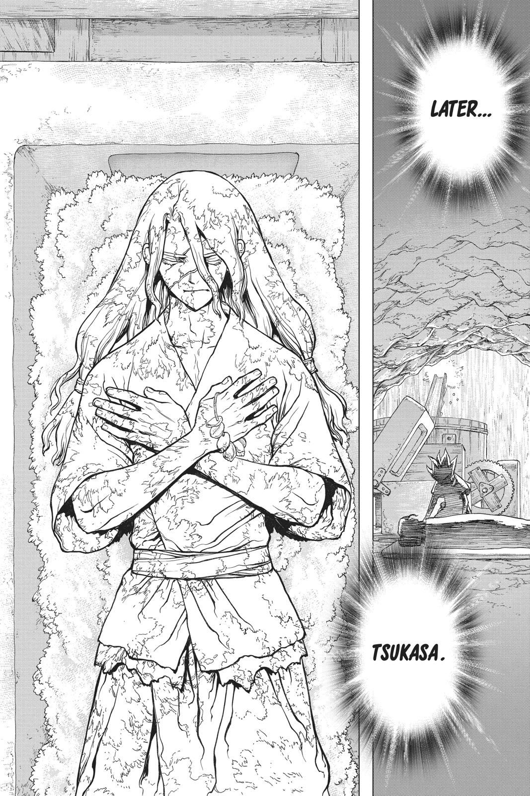Read Dr Stone En Manga Online