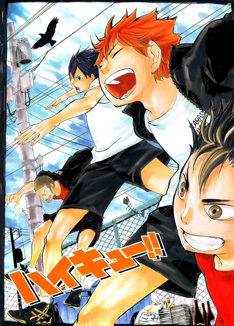 Read Haikyuu En Manga Online