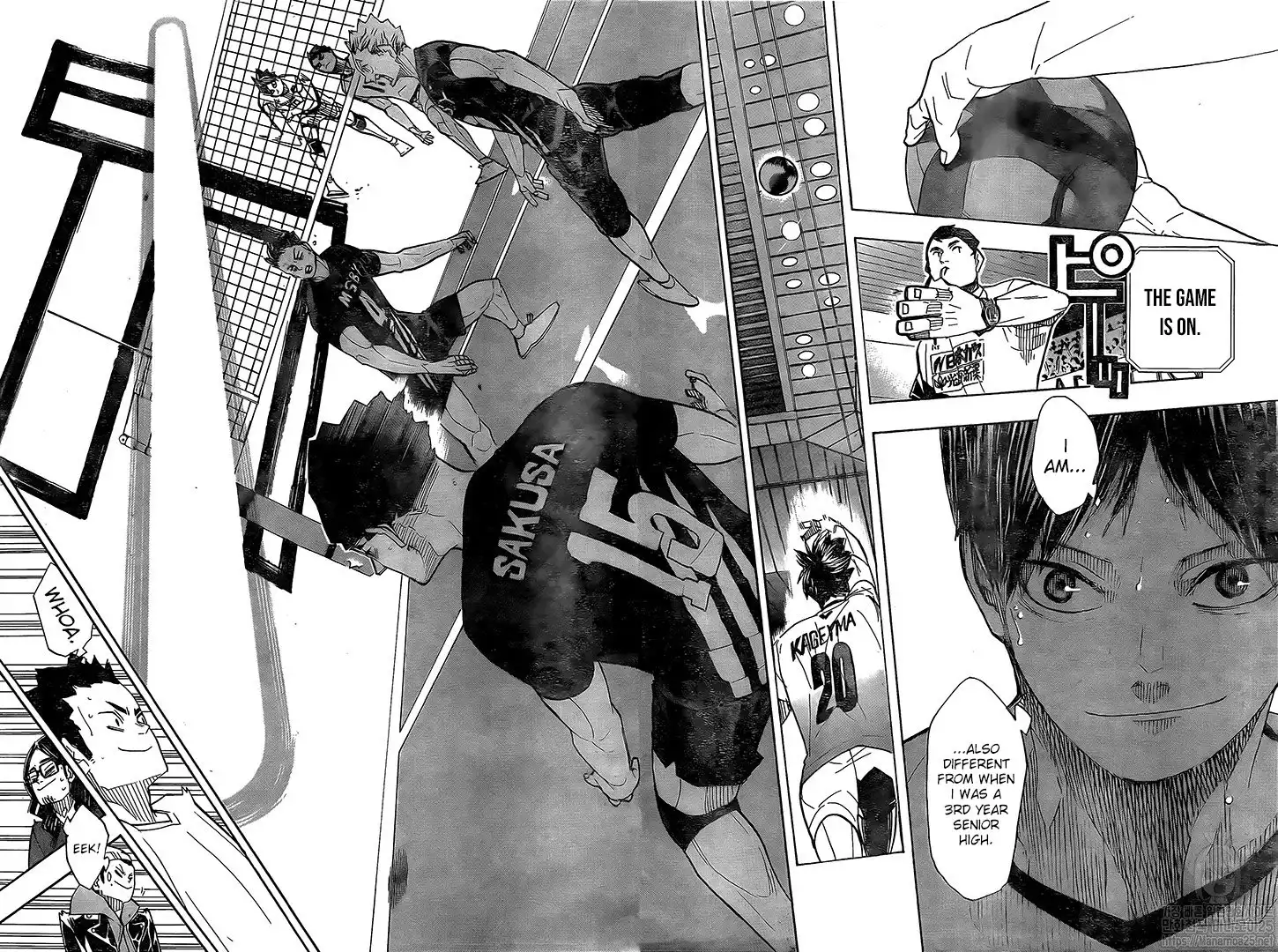 Read Haikyuu En Manga Online