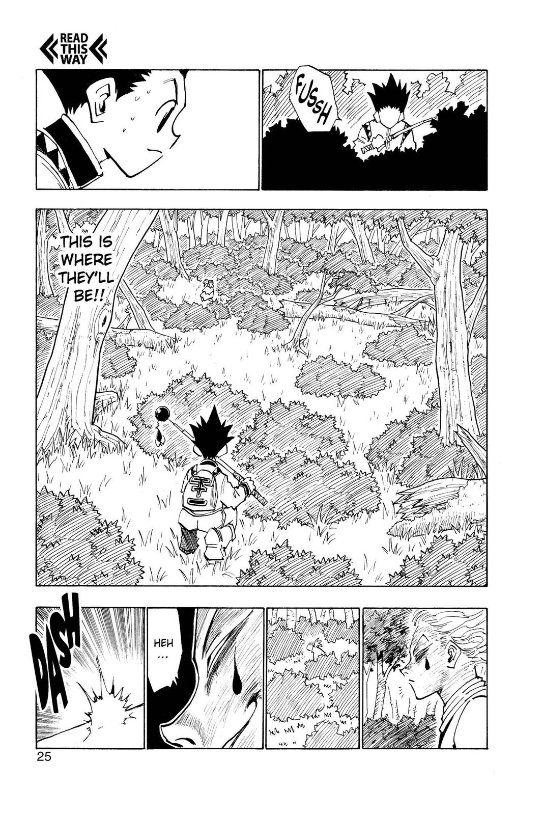 Read Hunter x Hunter En Manga Online