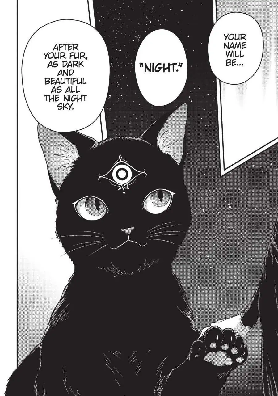 Read My Status as an Assassin Obviously Exceeds the Hero En Manga Online