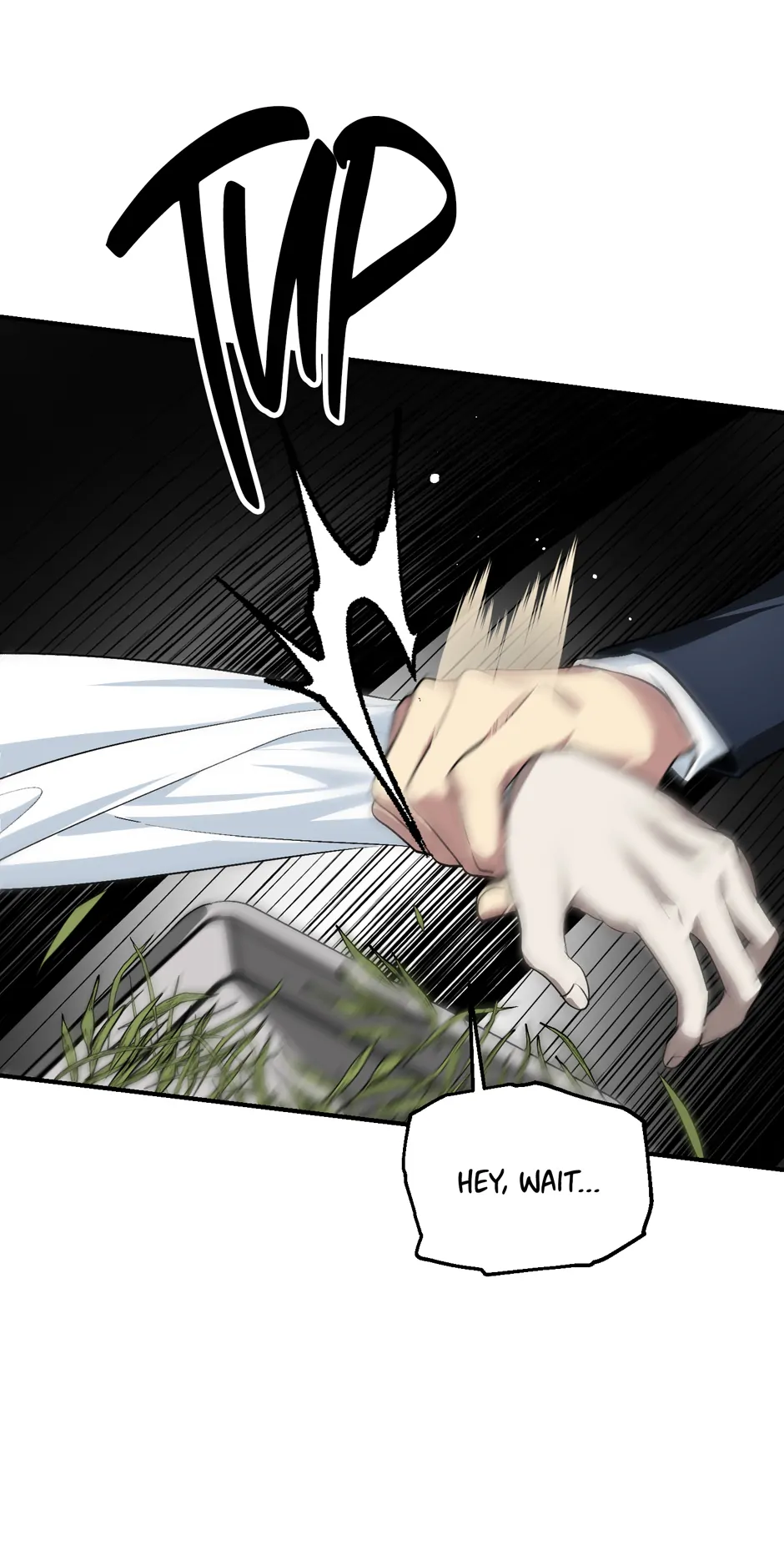 Read SSS Class Suicide Hunter En Manga Online