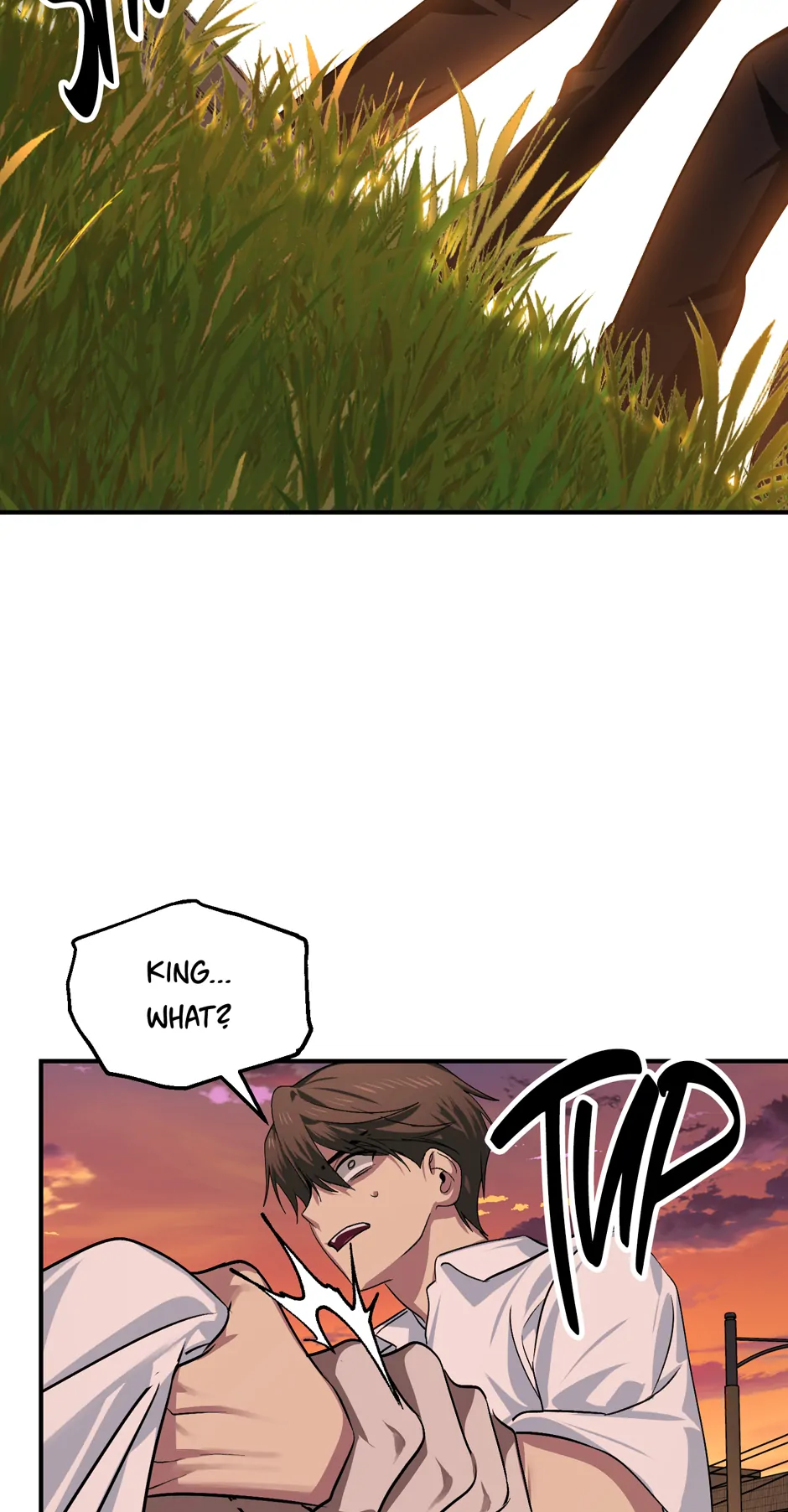 Read SSS Class Suicide Hunter En Manga Online