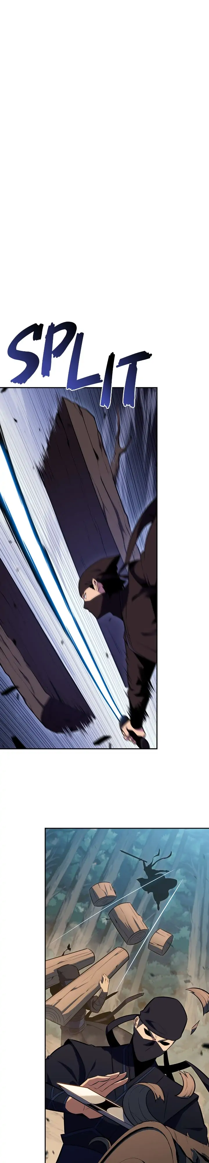 Read Solo Max Level Newbie En Manga Online