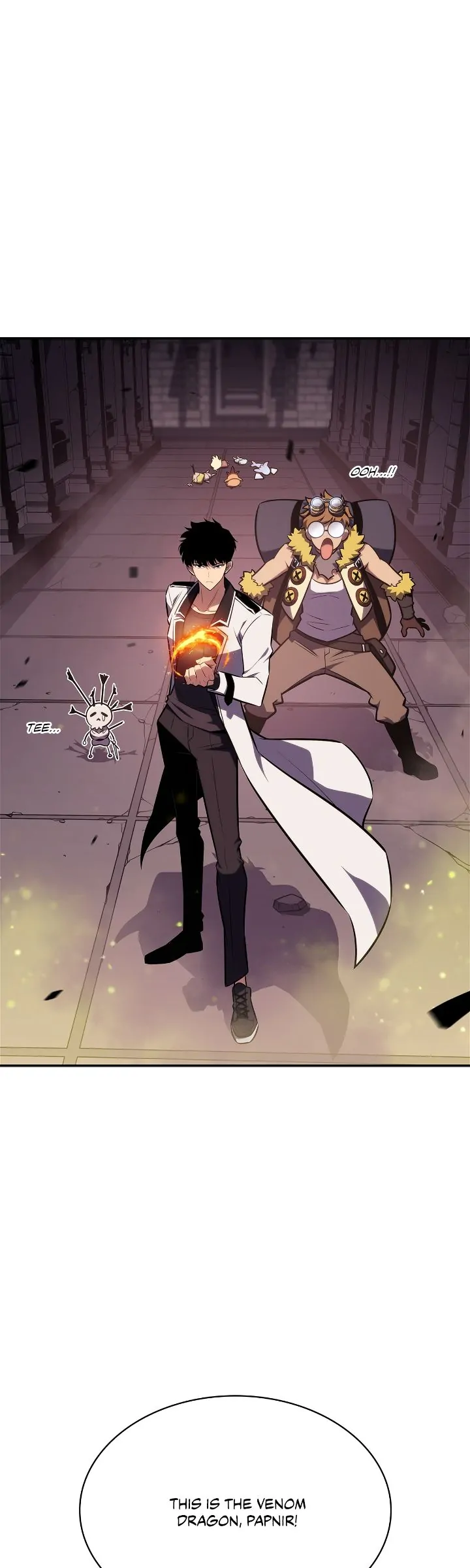 Read Solo Max Level Newbie En Manga Online