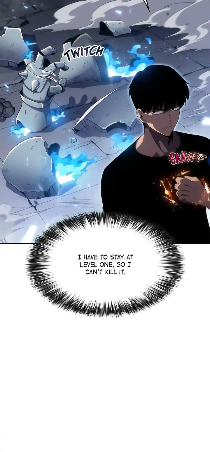 Read Solo Max Level Newbie En Manga Online