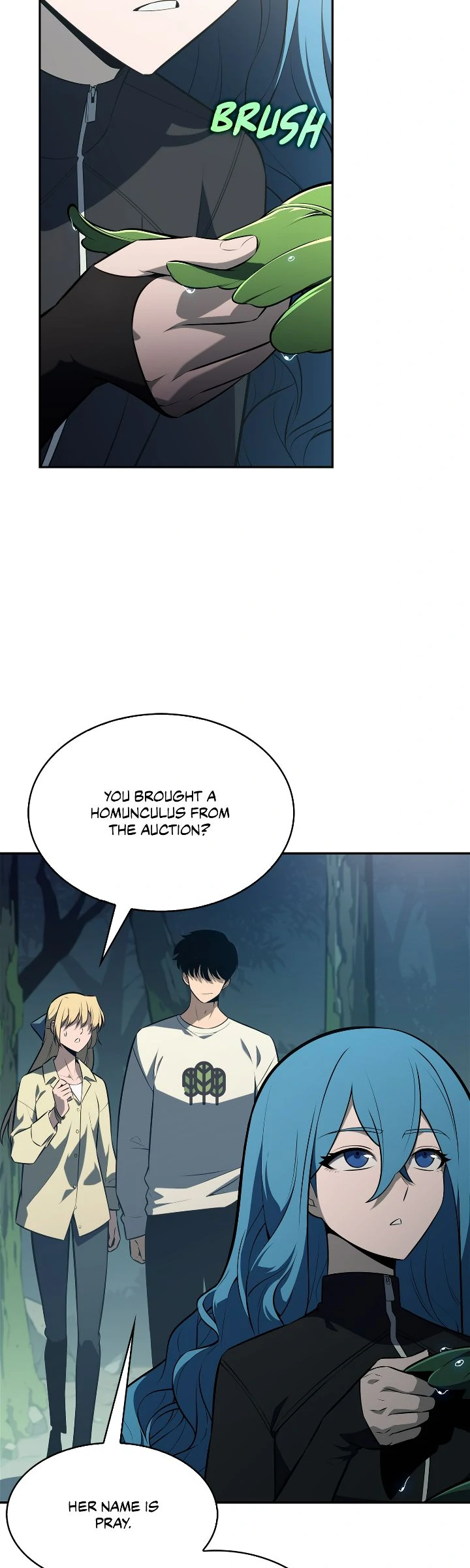 Read Solo Max Level Newbie En Manga Online