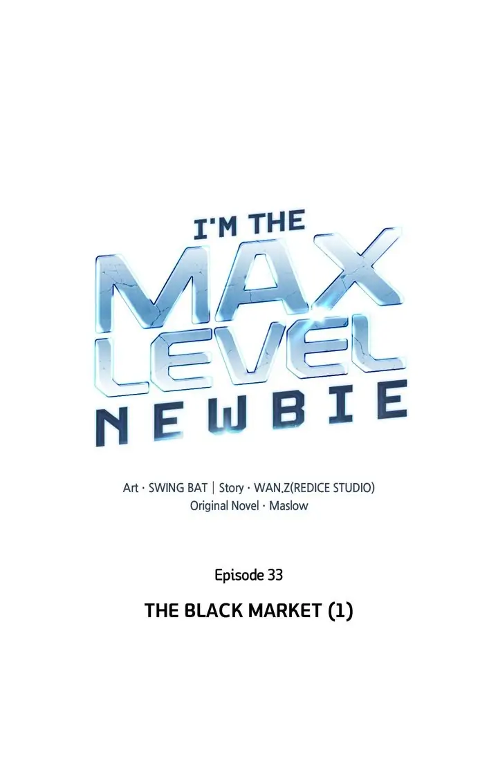 Read Solo Max Level Newbie En Manga Online