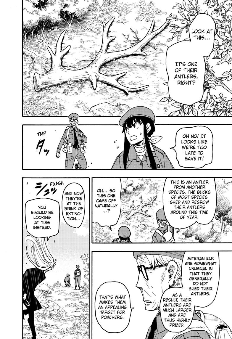 Read Spy x Family En Manga Online