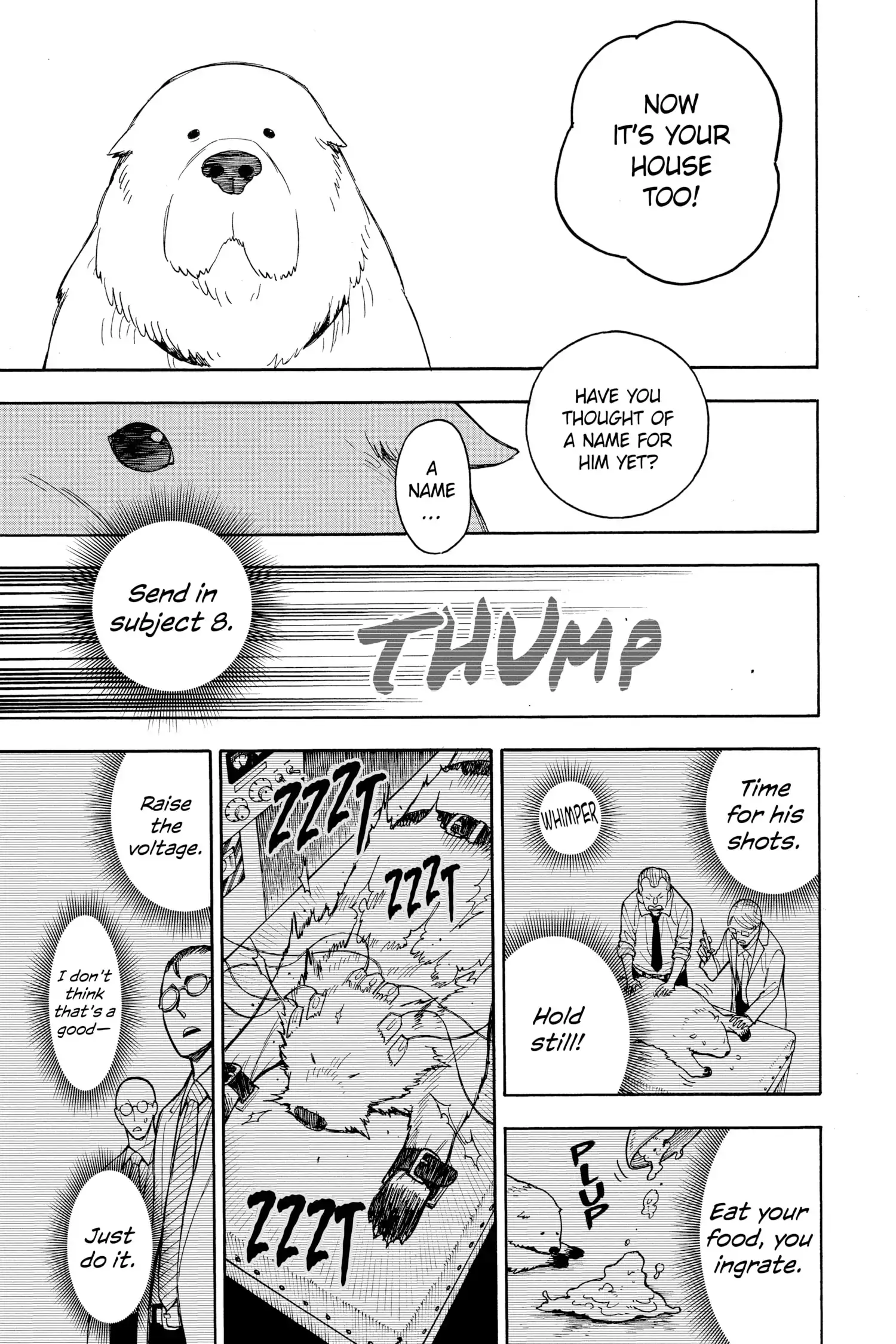 Read Spy x Family En Manga Online
