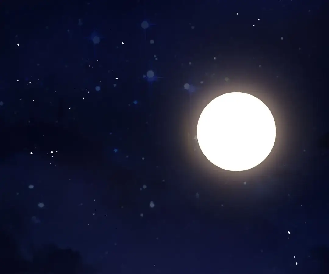 Read Starting Over as a Tree En Manga Online