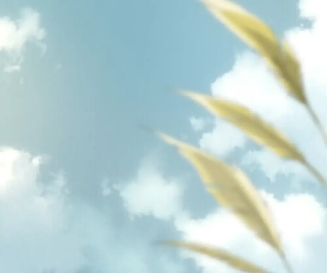 Read Starting Over as a Tree En Manga Online