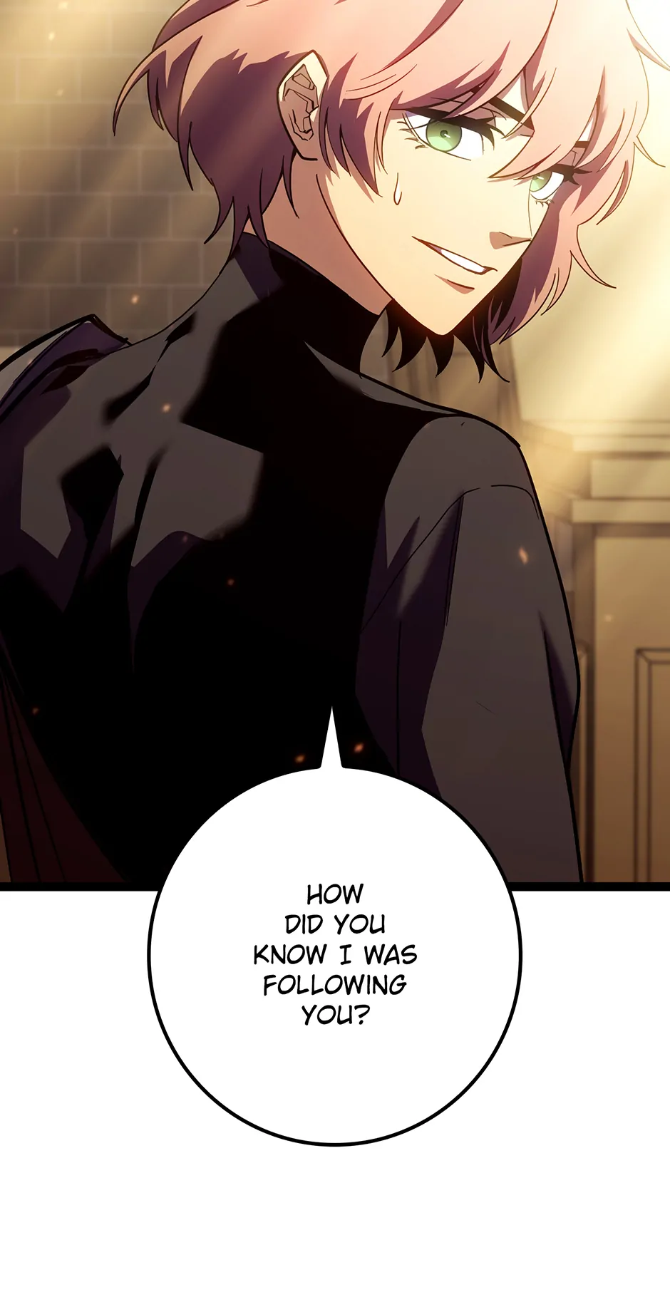 Read The Bastard of Swordborne En Manga Online