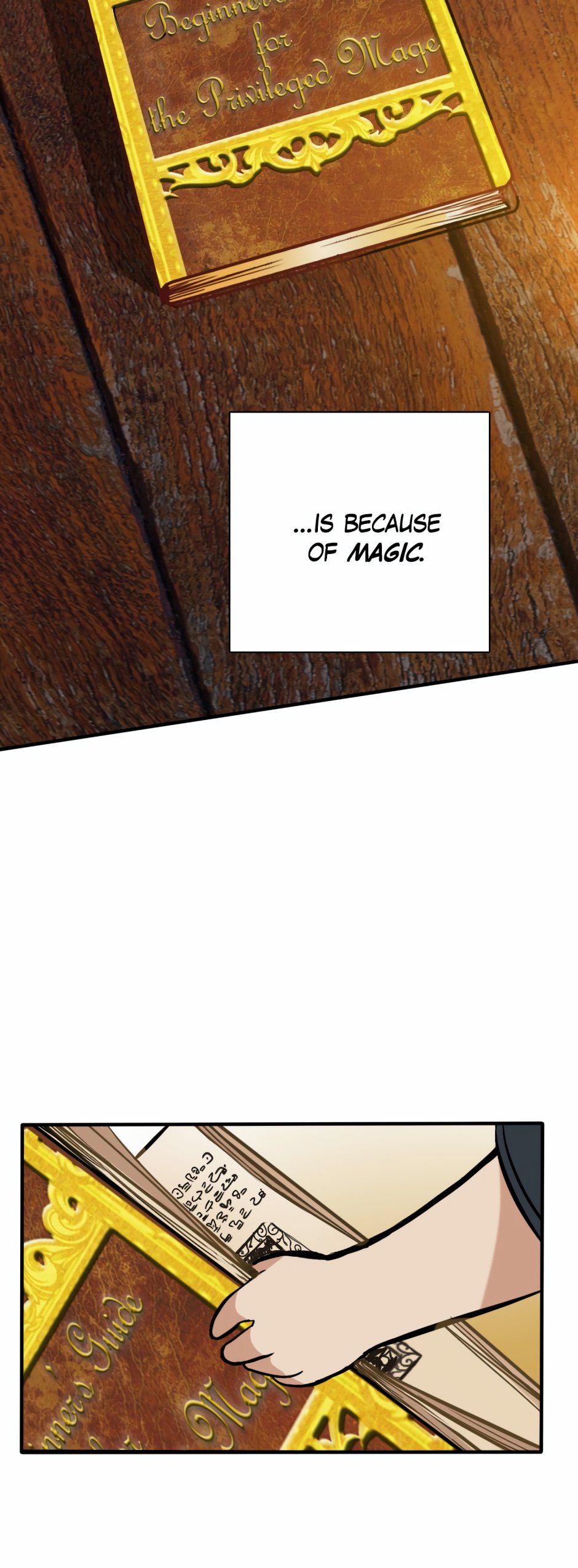 Read The Beginning After the End En Manga Online