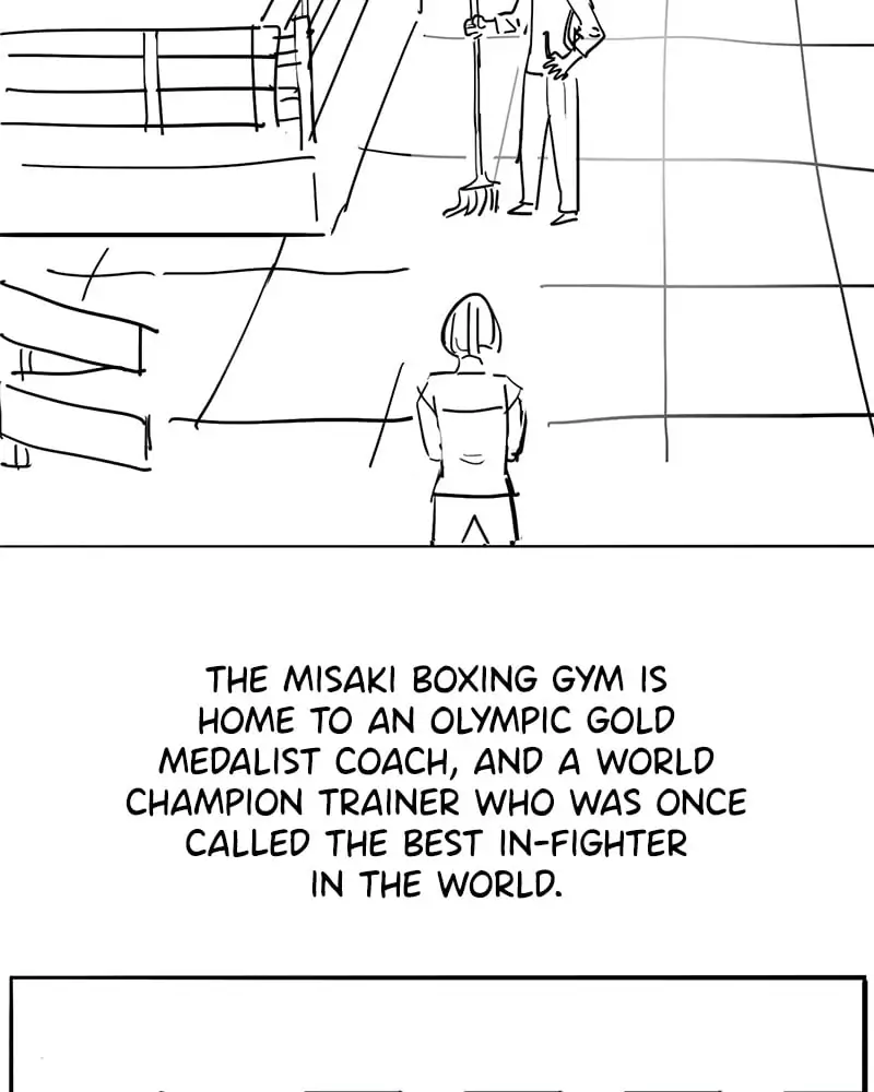 Read The Boxer En Manga Online