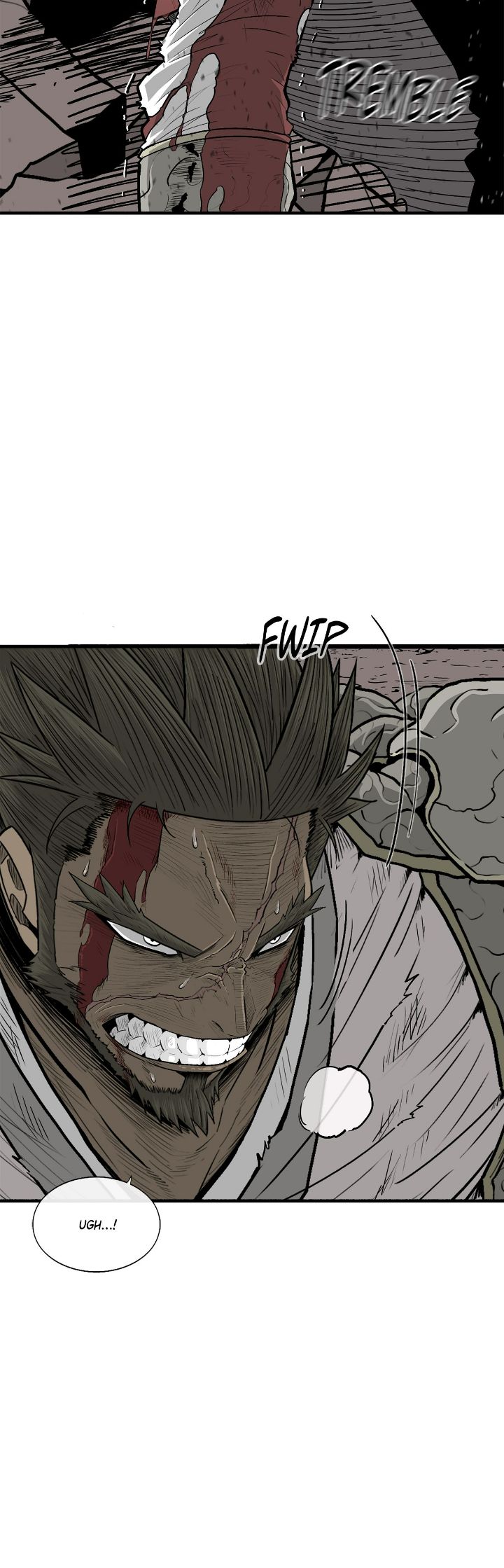 Read The Legend of the Northern Blade En Manga Online