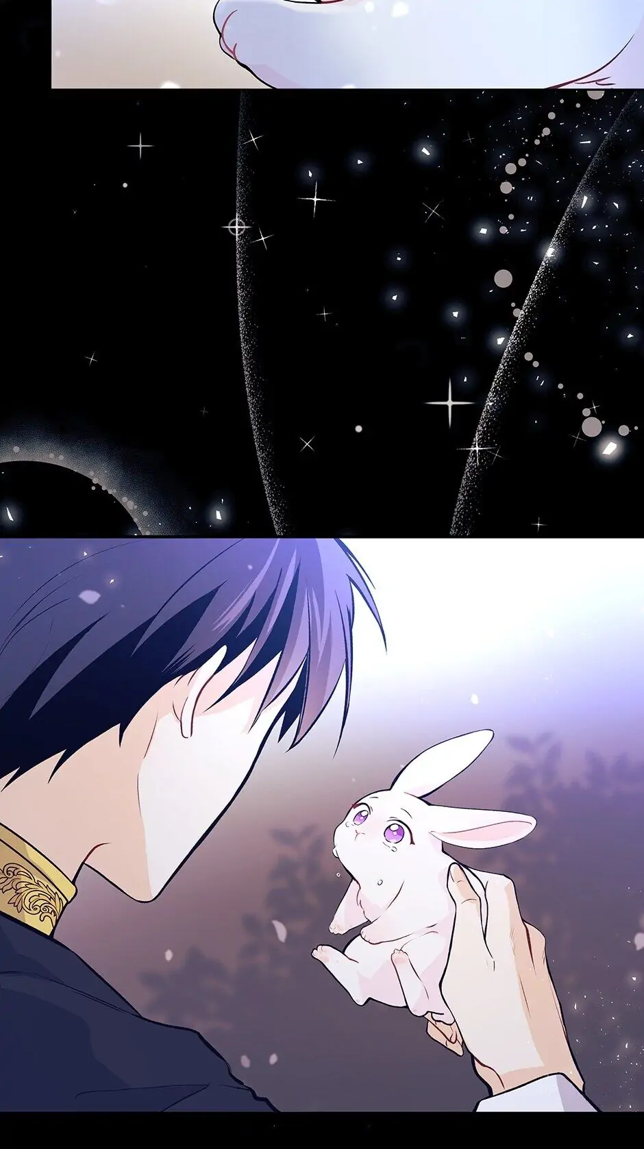 Read The Symbiotic Relationship Between the Rabbit and the Black Panther En Manga Online