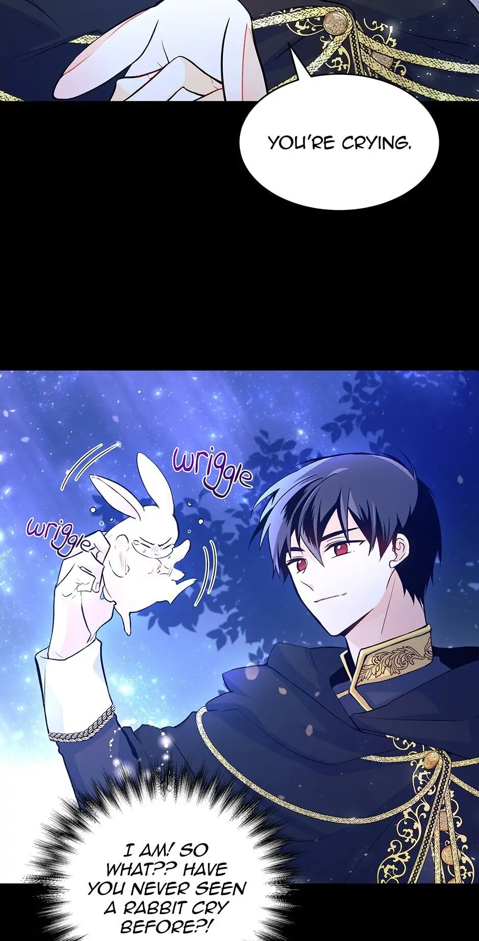 Read The Symbiotic Relationship Between the Rabbit and the Black Panther En Manga Online
