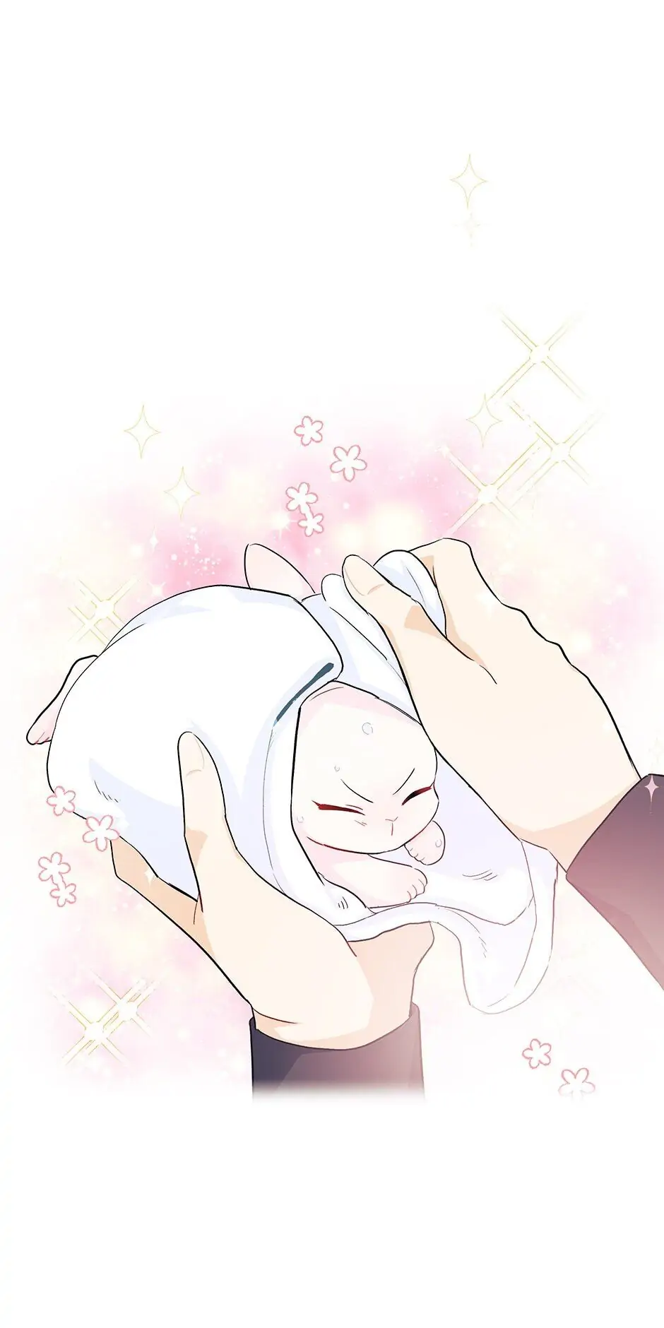 Read The Symbiotic Relationship Between the Rabbit and the Black Panther En Manga Online